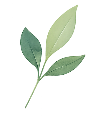 Hojas decoración inferior